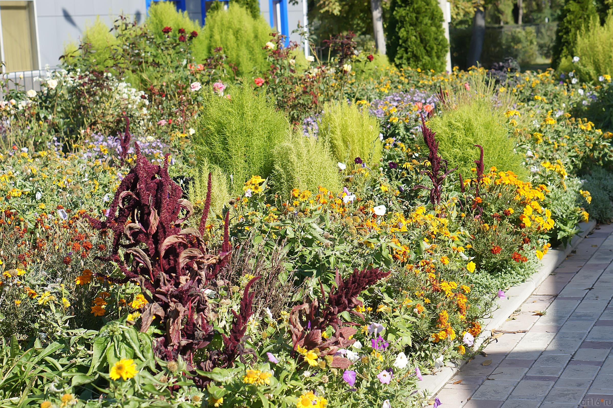 Клумба в аэропорту Симферополя:: Дорога в аэропорт Симферополя