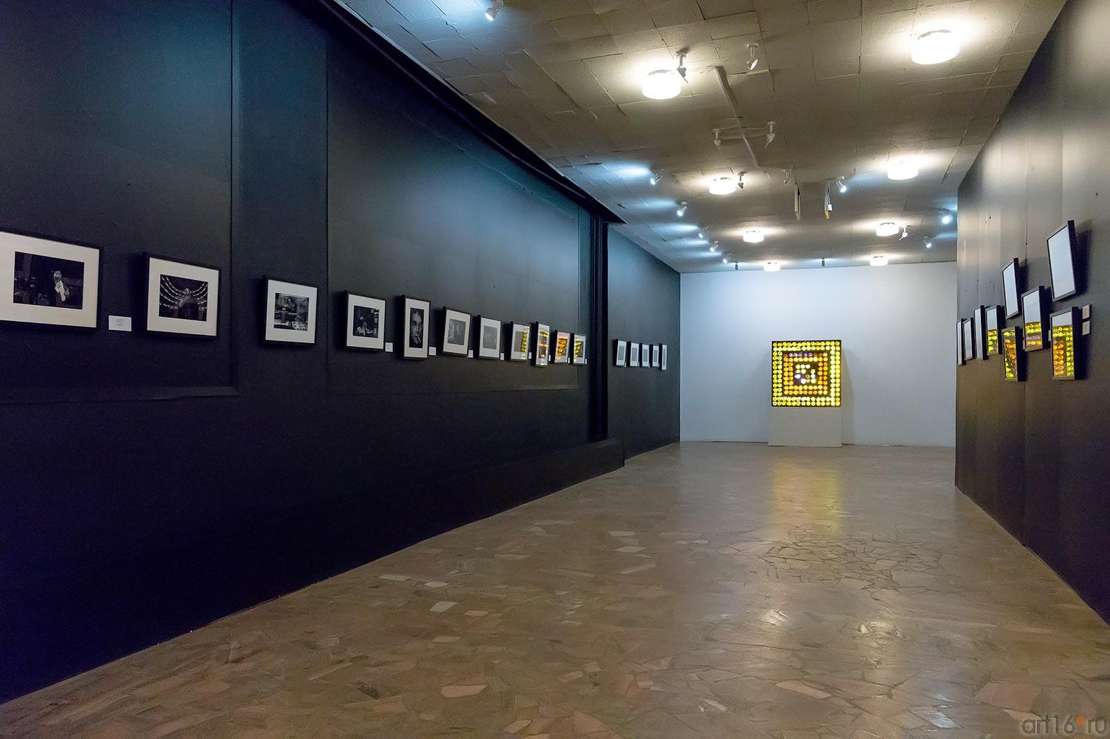 ::Выставка работ Эллиотта Эрвитта и Владимира Вяткина