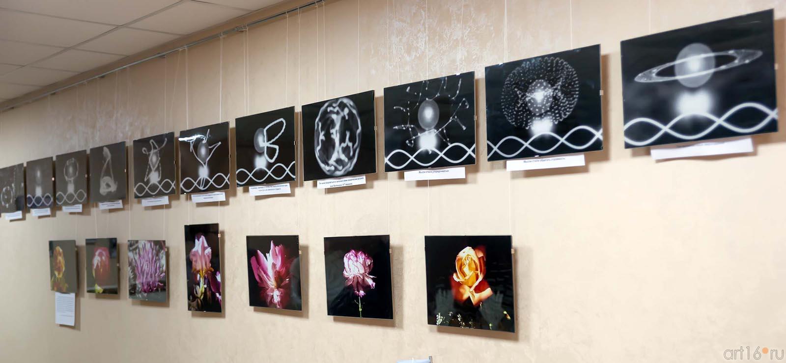 Космический одуванчик ( верхний ряд), Солнечная светопись (нижний ряд)::СКБ Прометей