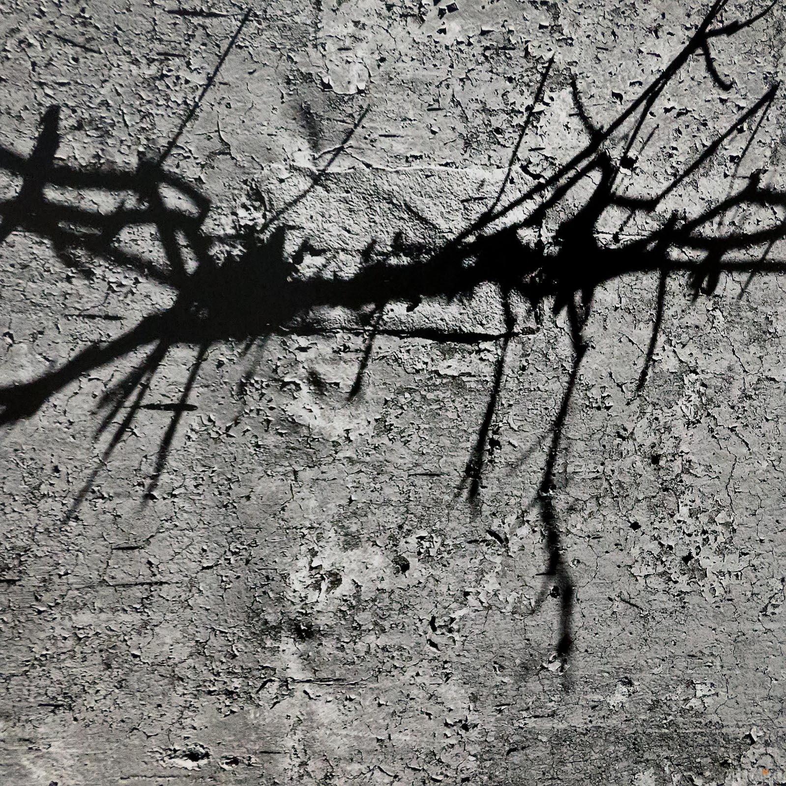 ::Фотопроект Гийома Герена (Франция) ANTISYMBOLE et FASTER