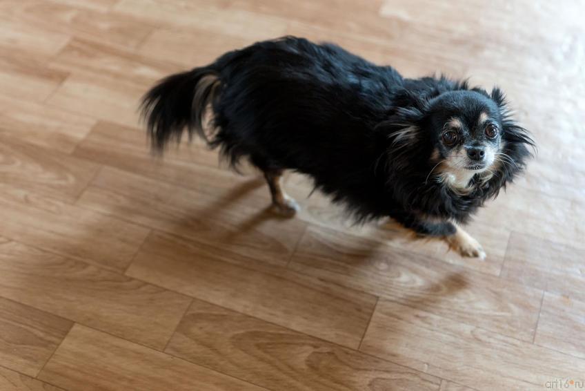 ::Дмитрий и Ольга Пастернак