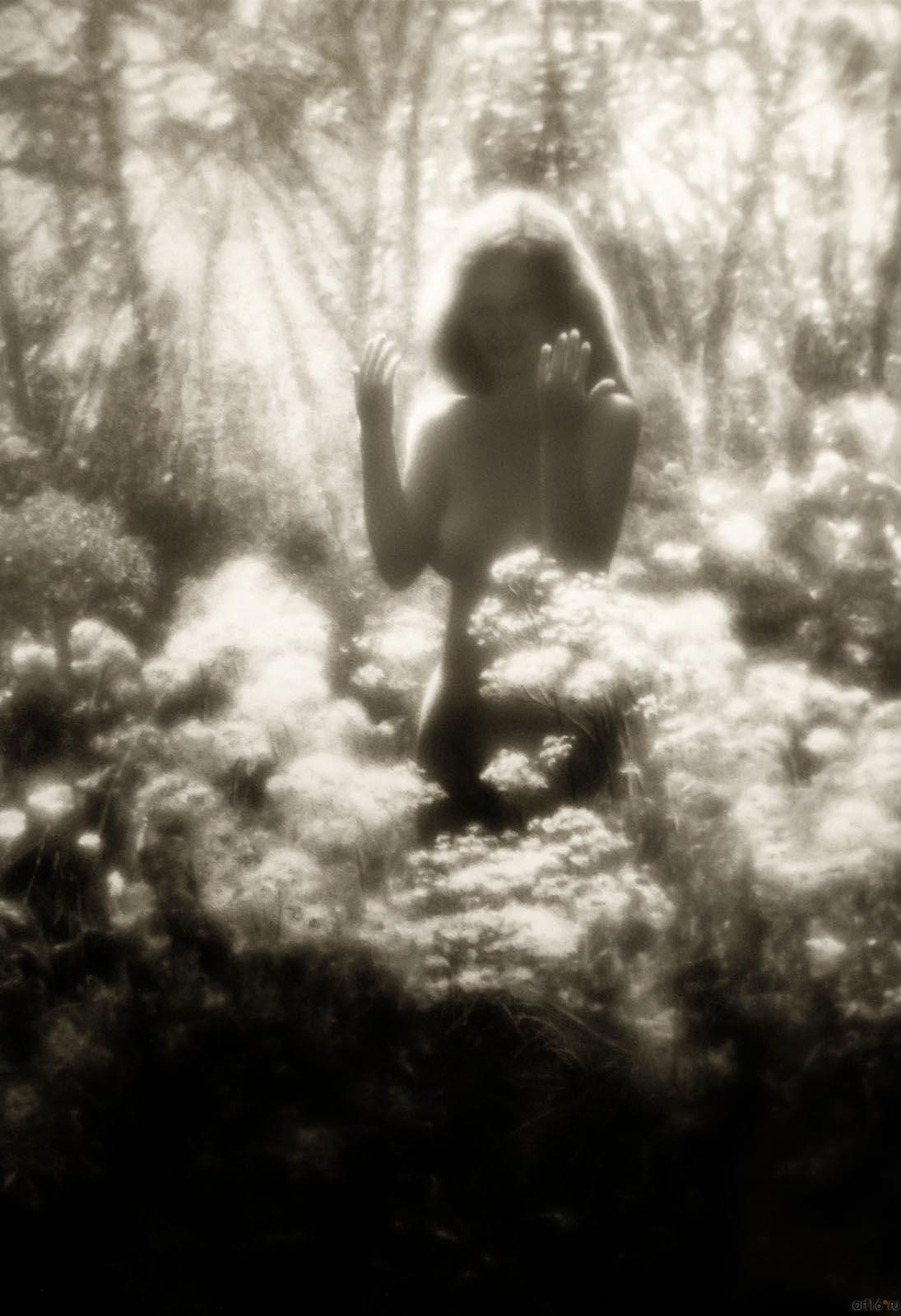 ::Фотовыставка Яниса Глейзда «Отблески»