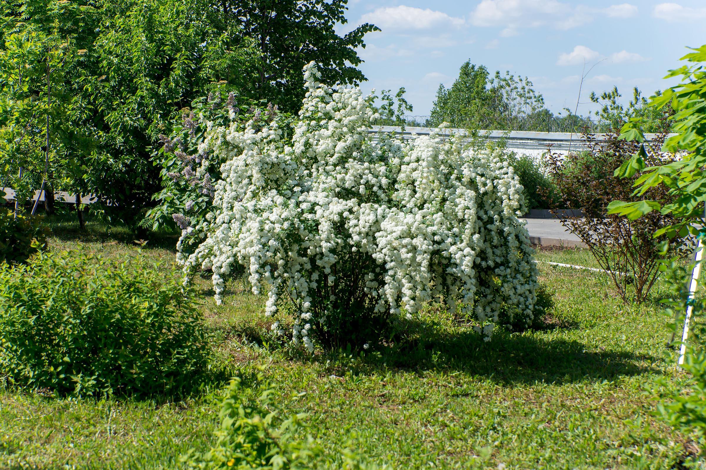 ::26.05.2014 Экскурсия по исторической Казани