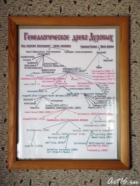 Генеалогическое древо Дуровых::Музей-усадьба Н.А.Дуровой