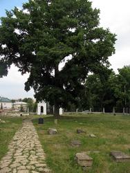 Кладбище, где захоронена кавалерист-девица Александров (Дурова)