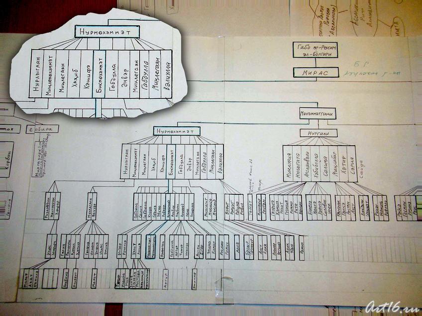 Фрагмент родословной::День второй (20 февраля 2008)