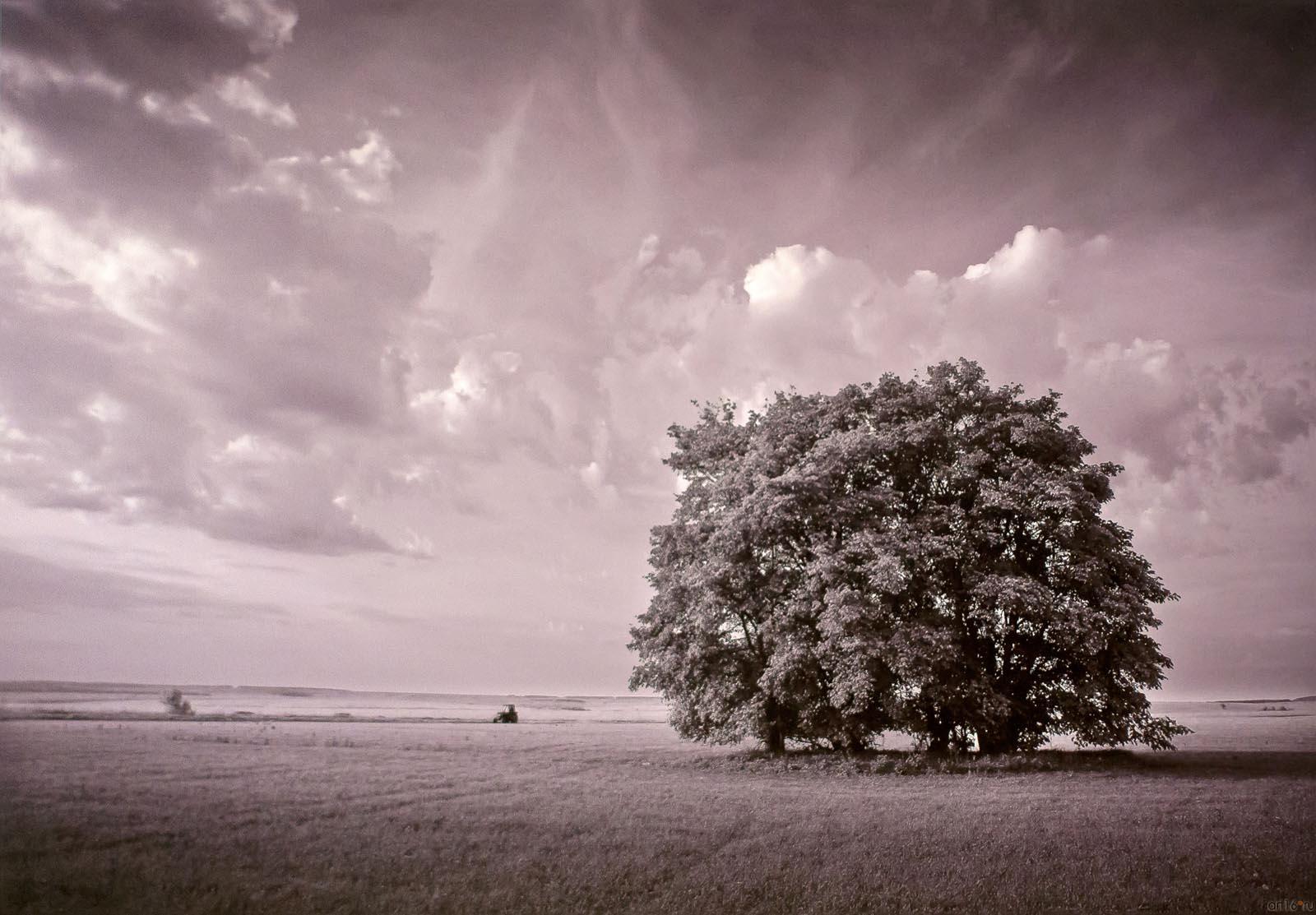 ::«Маленькое затмение» Пейзаж в фотографиях ЕВГЕНИЯ КАНАЕВА