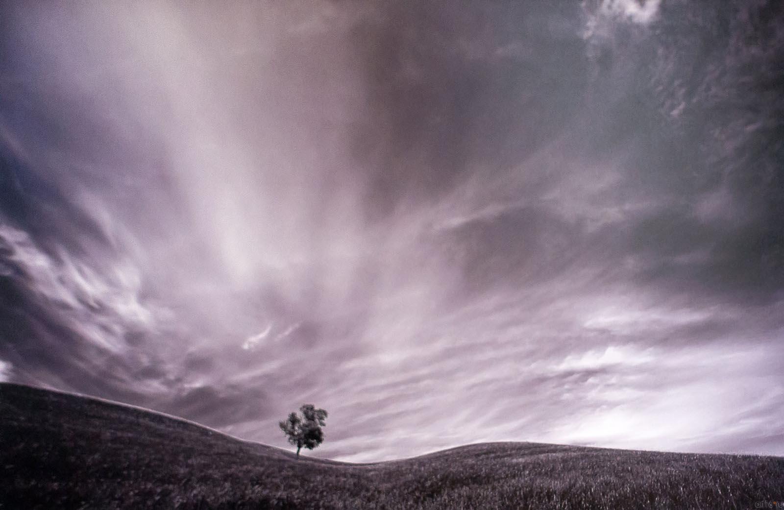 ::«Маленькое затмение» Пейзаж в фотографиях ЕВГЕНИЯ КАНАЕВА