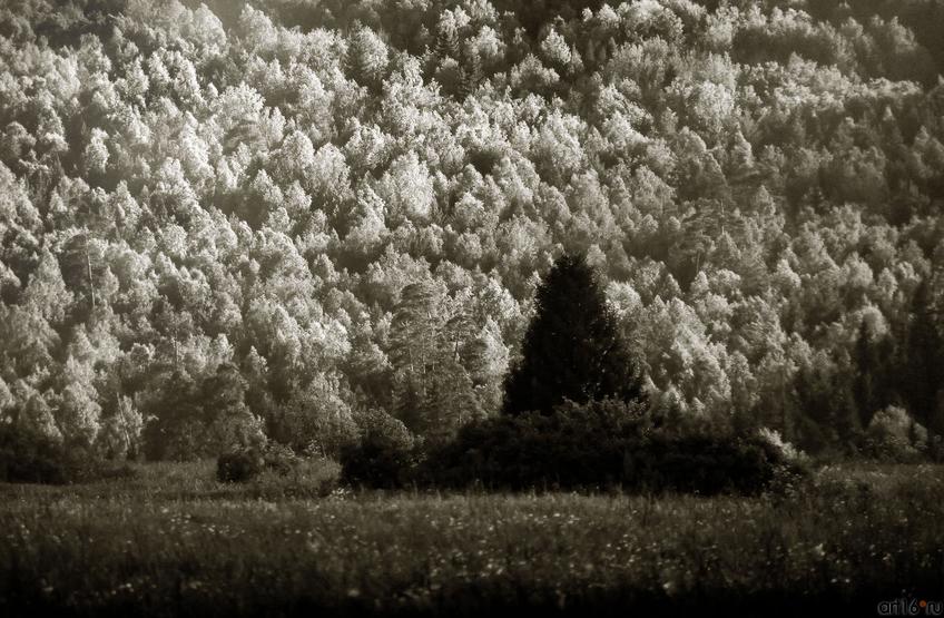 ::«Маленькое затмение» Пейзаж в фотографиях ЕВГЕНИЯ КАНАЕВА