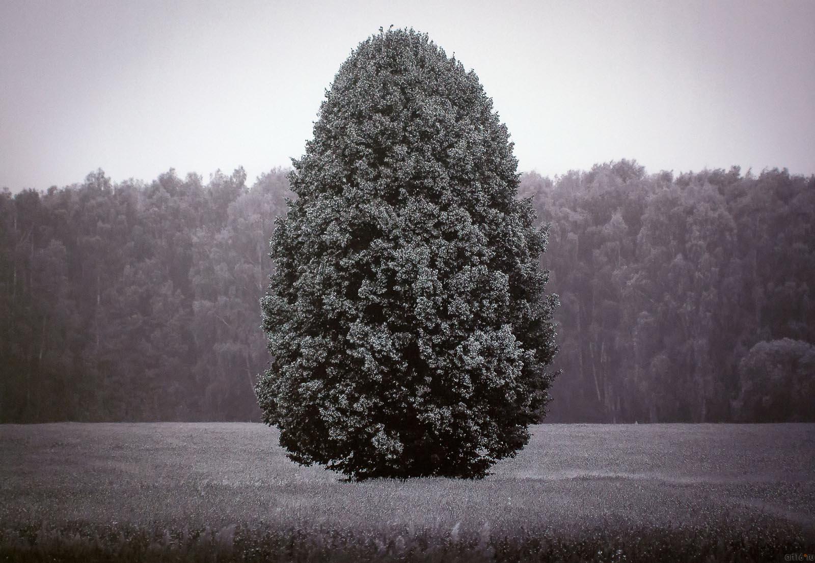 ::«Маленькое затмение» Пейзаж в фотографиях ЕВГЕНИЯ КАНАЕВА