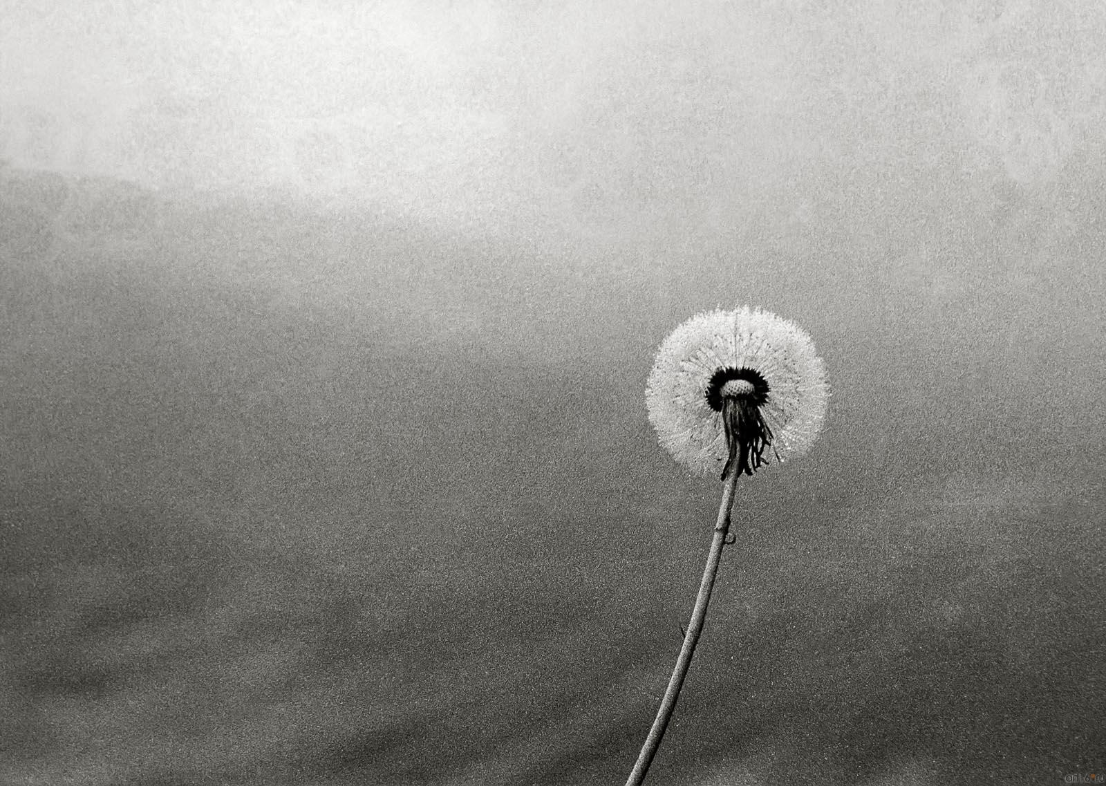 ::«Маленькое затмение» Пейзаж в фотографиях ЕВГЕНИЯ КАНАЕВА