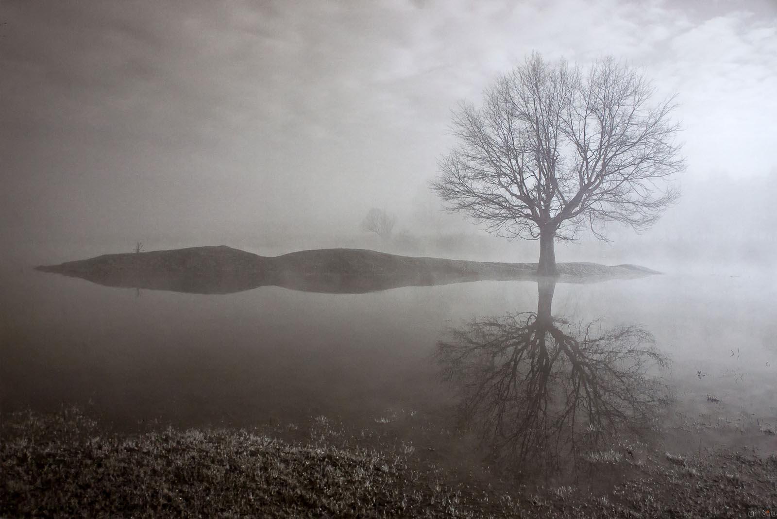 ::«Маленькое затмение» Пейзаж в фотографиях ЕВГЕНИЯ КАНАЕВА