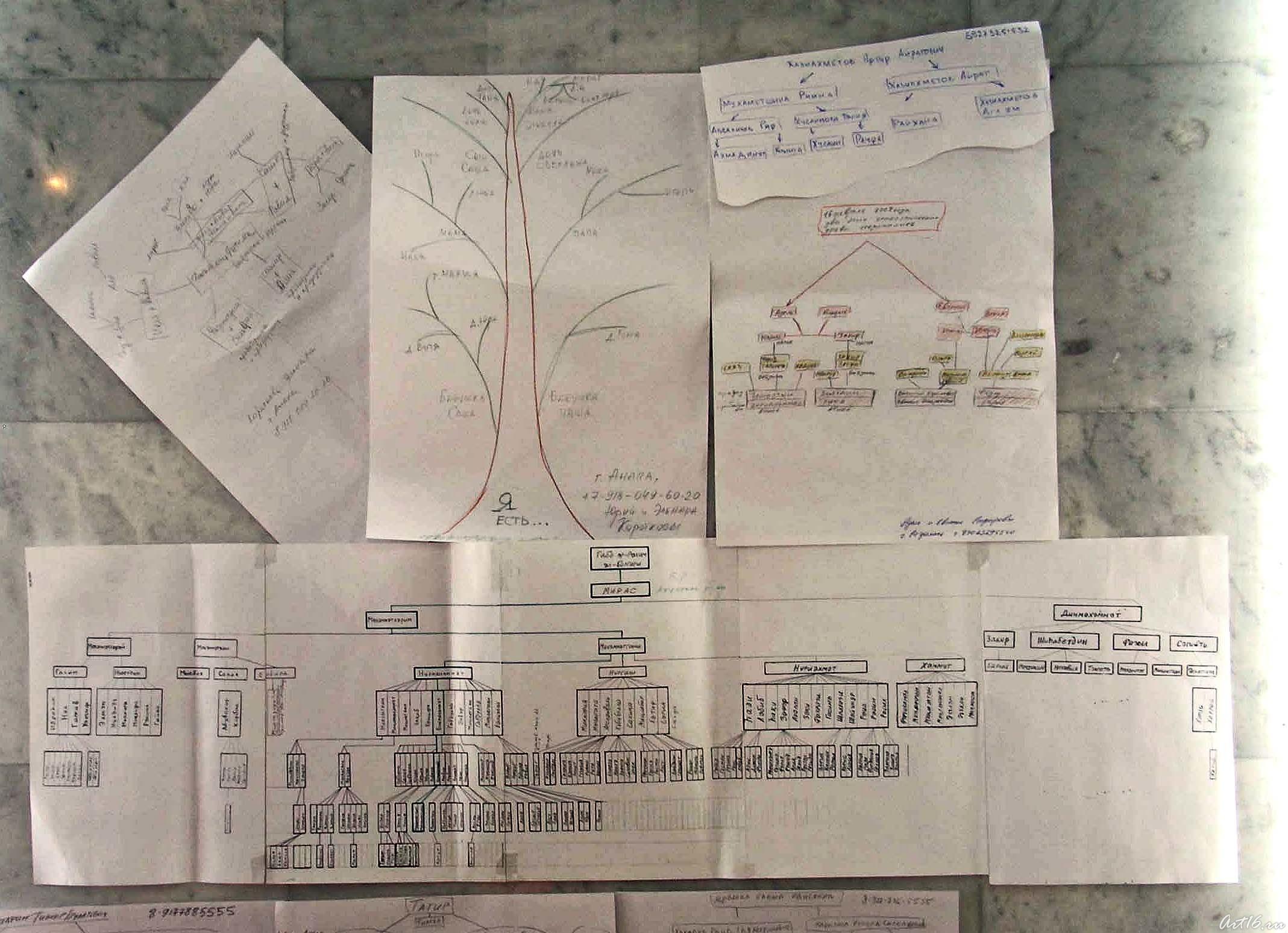 Фрагмент стены с родословными::День третий (21февраля 2008)