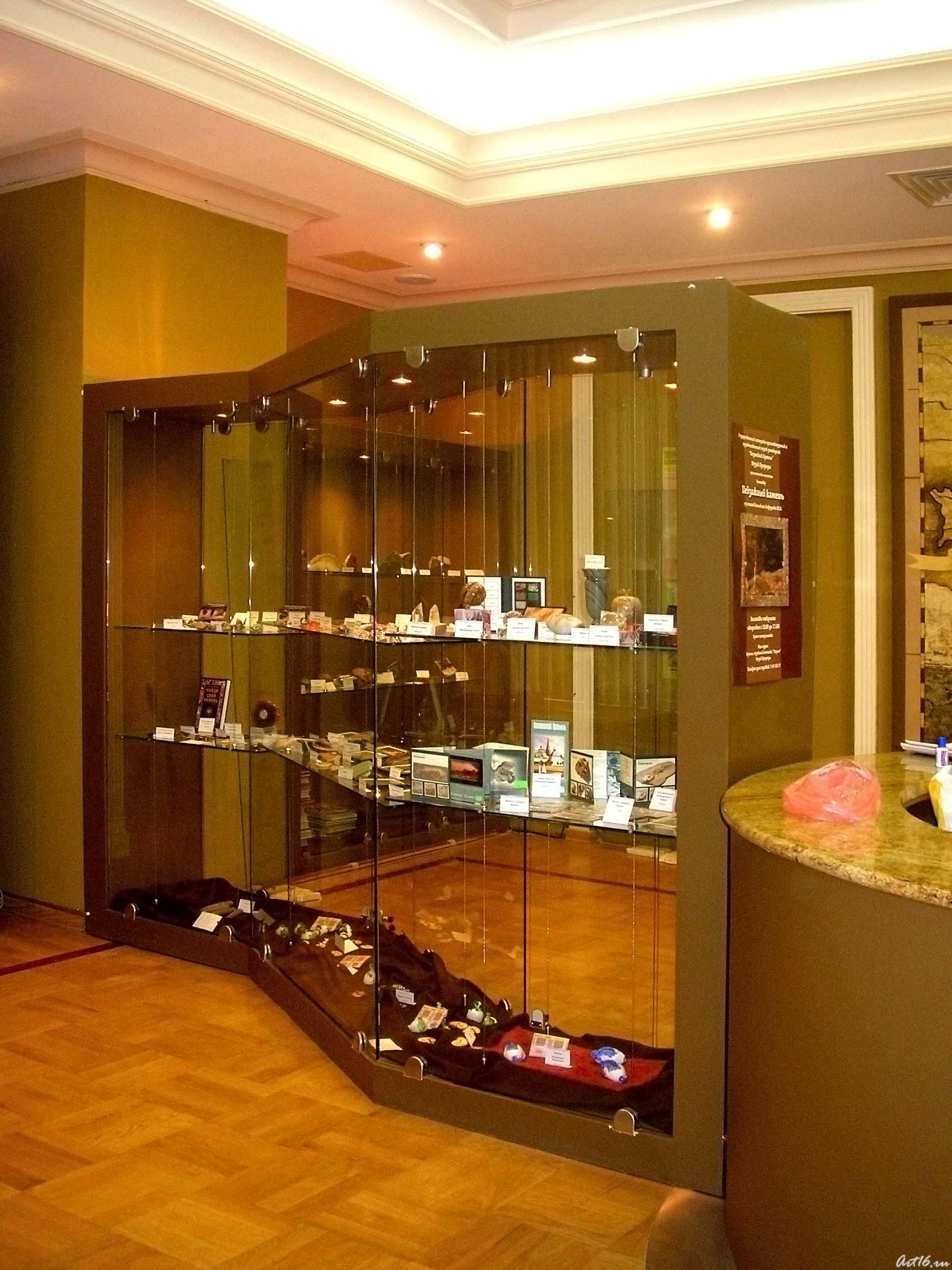 Сувенирный киоск Музея естественной истории Татарстана::Экспозиция музея Природы