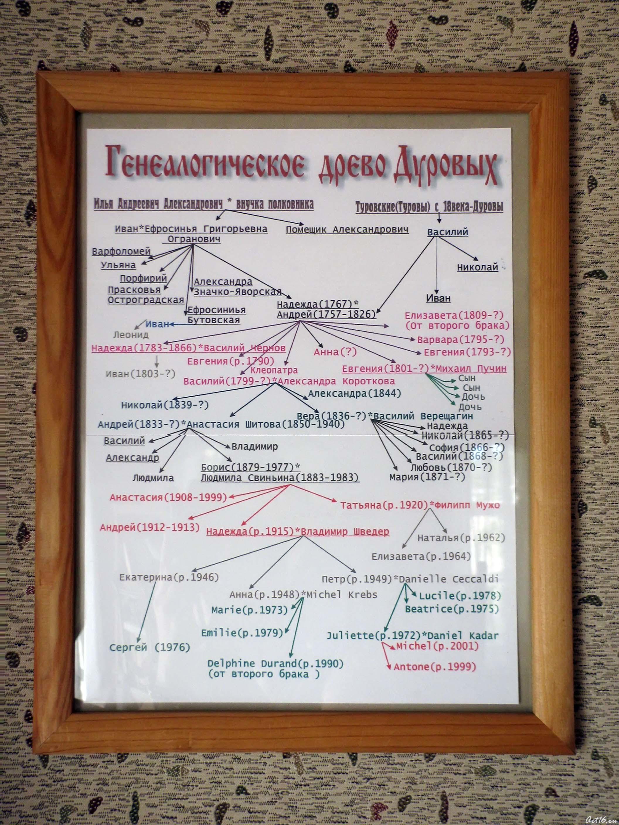 Генеалогическое древо Дуровых::Музей-усадьба Н.А.Дуровой