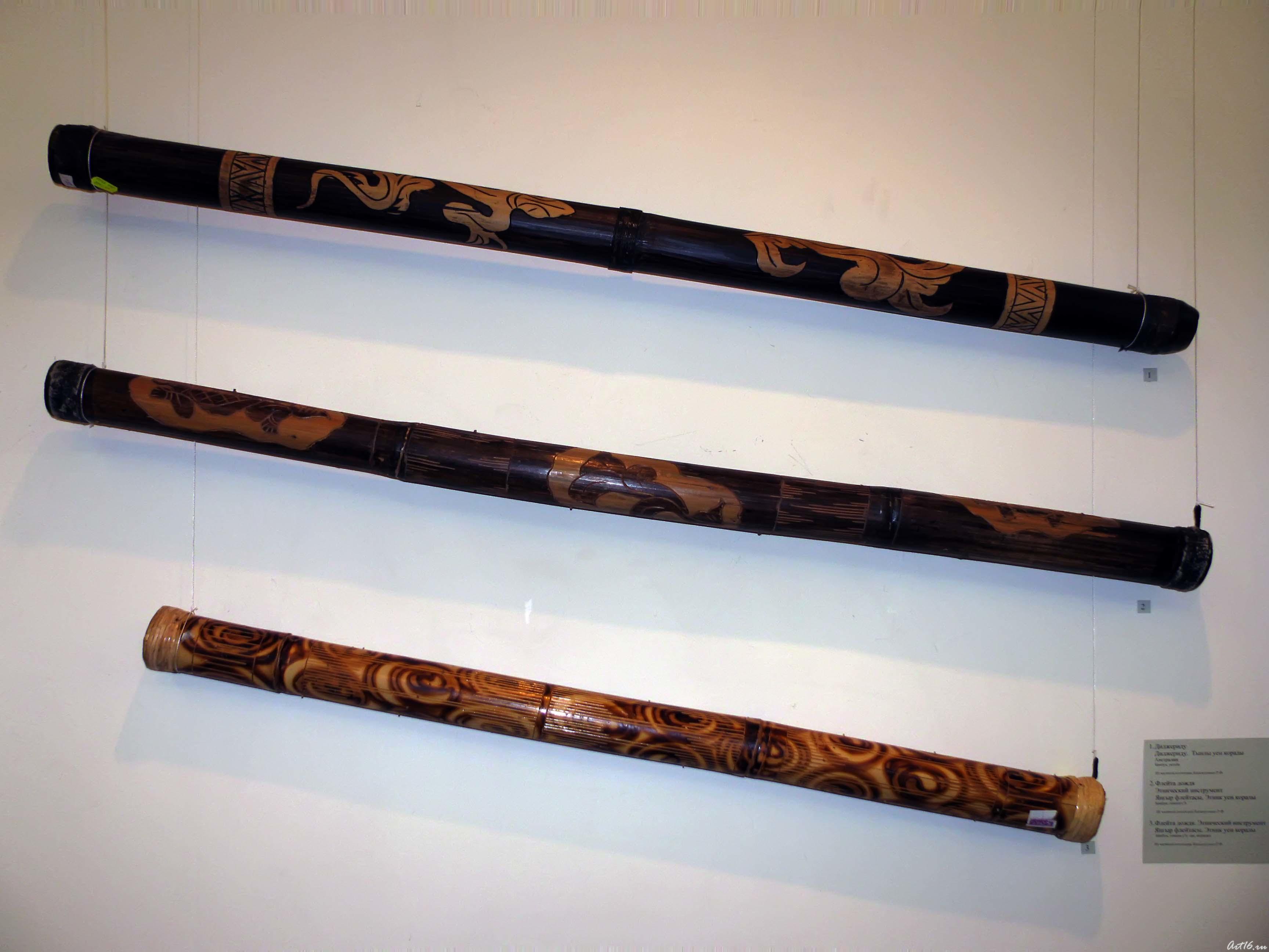 Диджериду / Флейта дождя /Флейта дождя::«Музыкальные инструменты народов мира из частных коллекций музыкантов Татарстана»