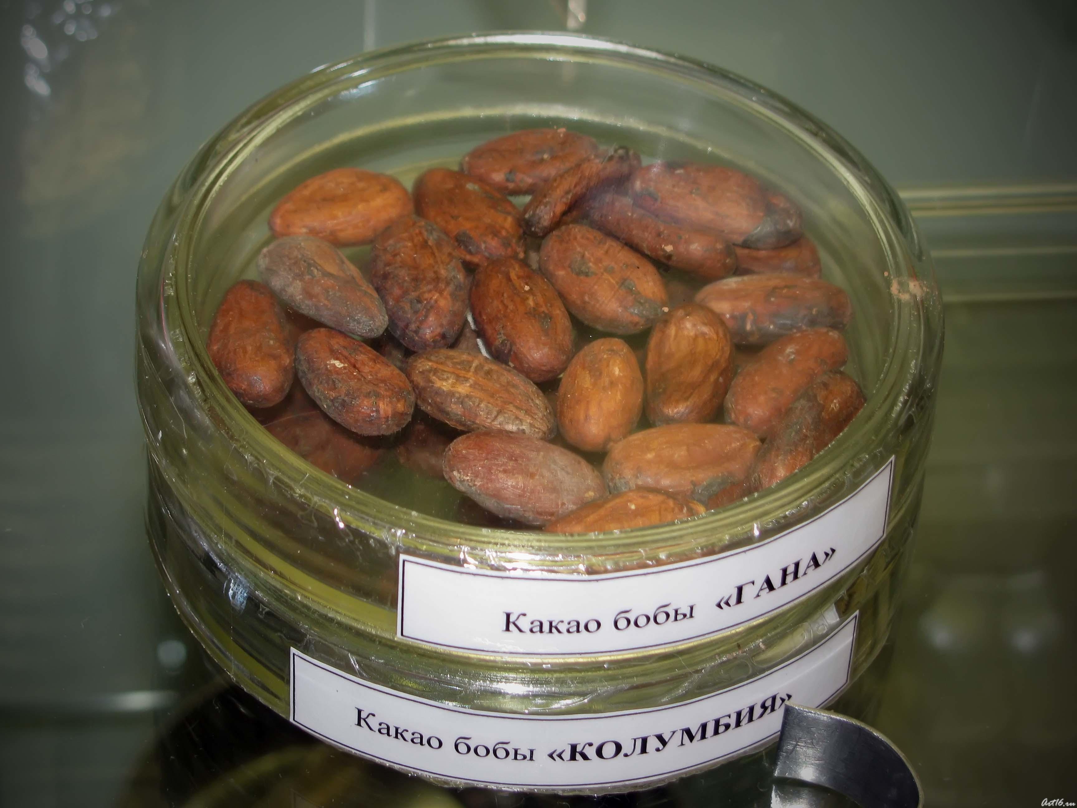 Какао бобы «Гана», какао бобы «Колумбия»::«Шоколадное Рождество»