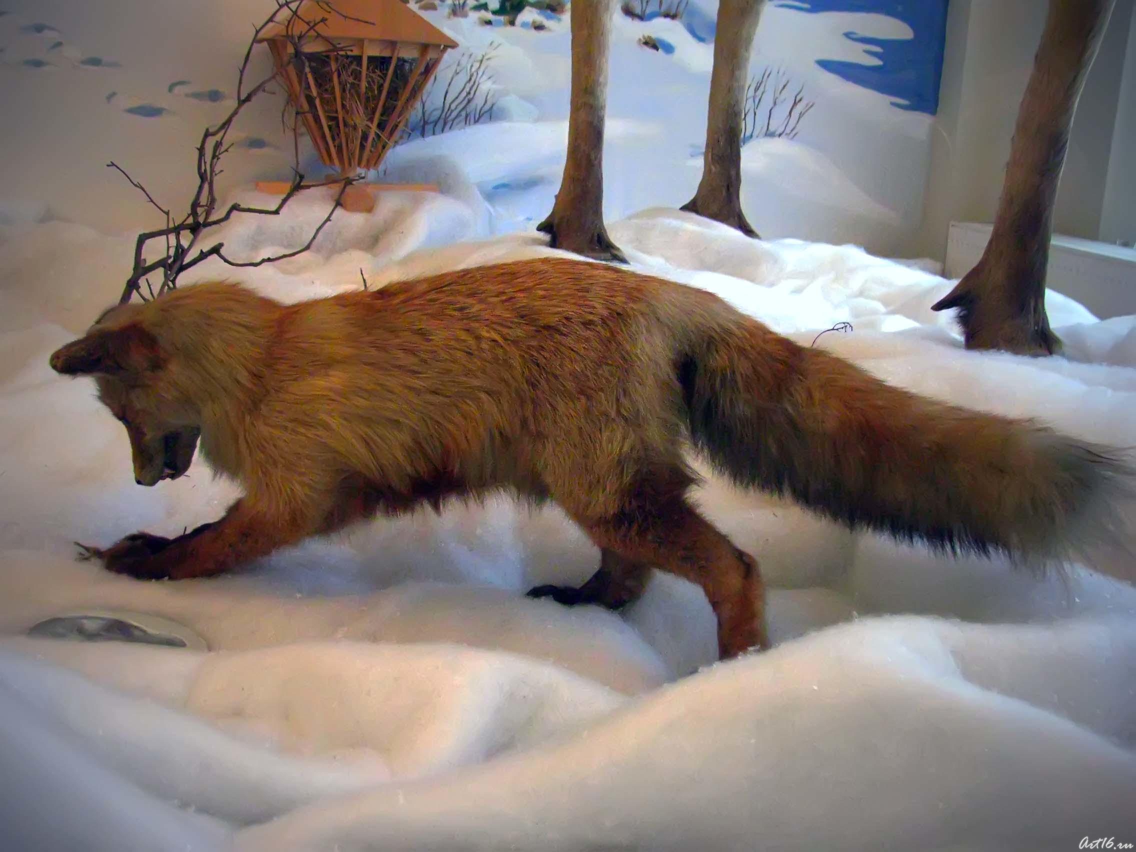 Лиса на охоте::«Времена года»