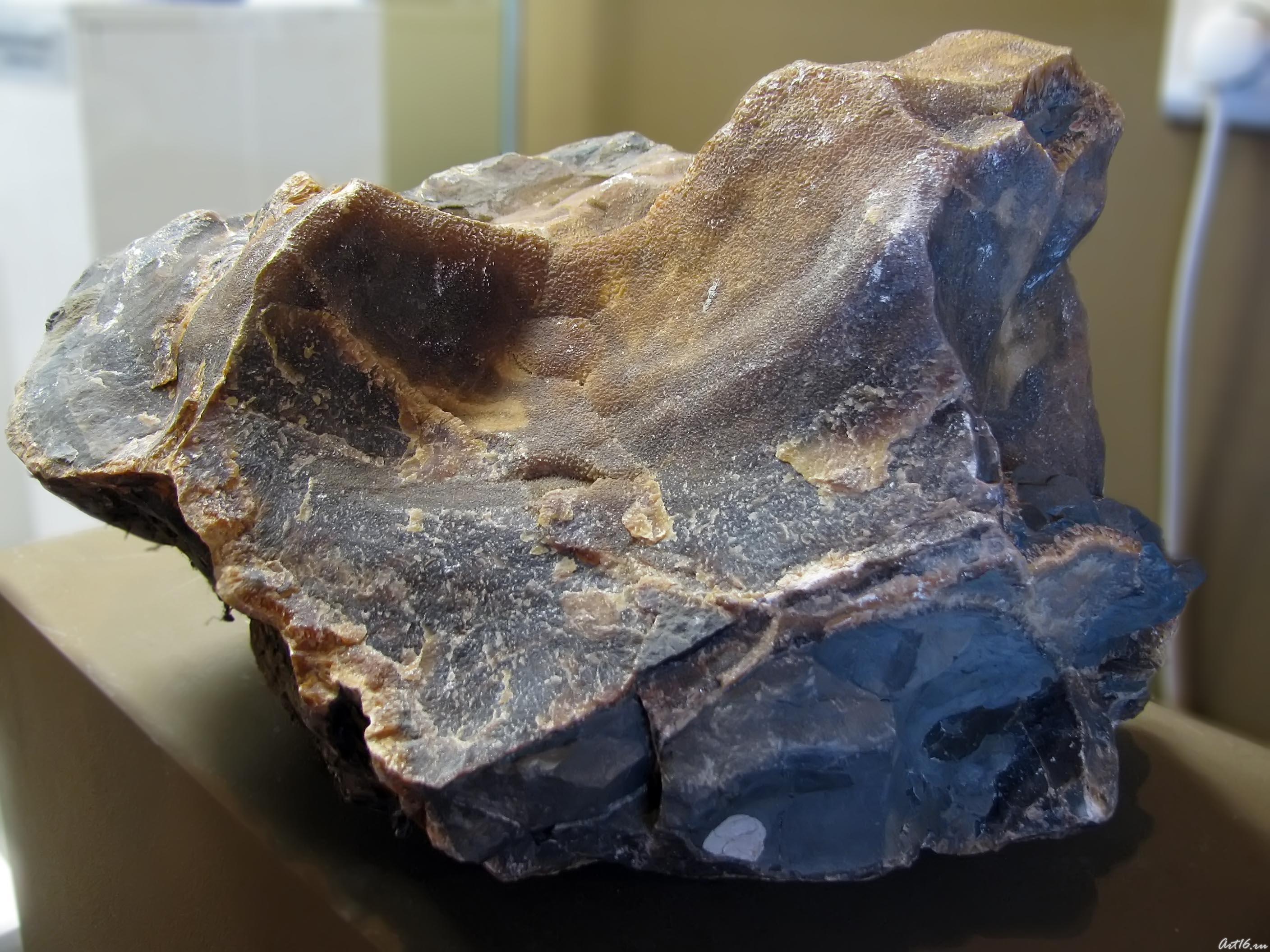 Конкреция жильного симбирцита::Симбирцит