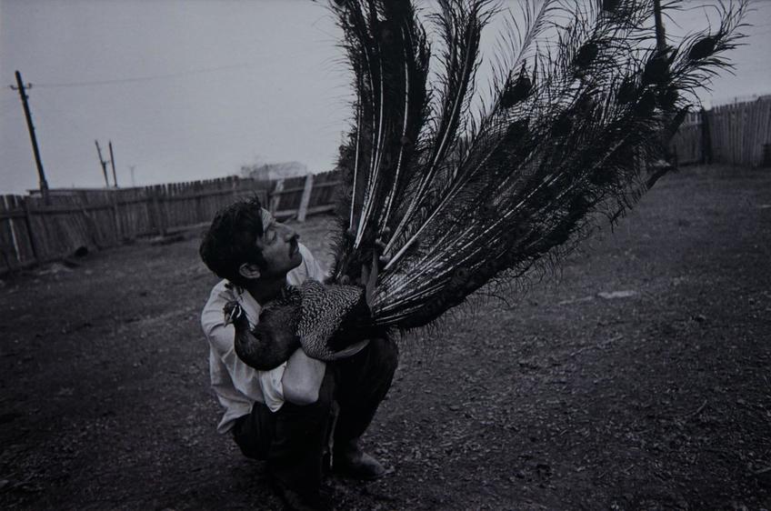 Цыгане. Одесса 1990::Фотографии Ляли Кузнецовой