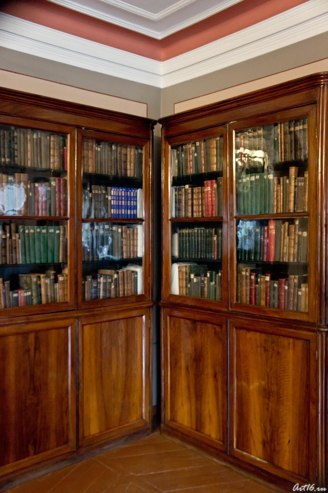 Два книжных шкафа в Доме-музее П.И.Чайковского::г.Клин, дом-музей П.И.Чайковского