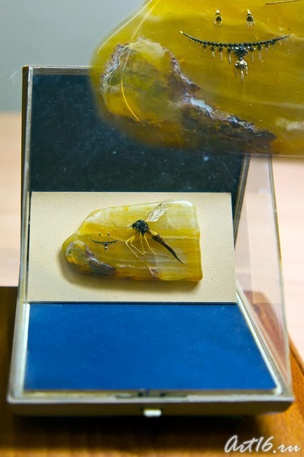 Ювелирка для насекомых::Выставка микроминиатюр «Чудеса под микроскопом»