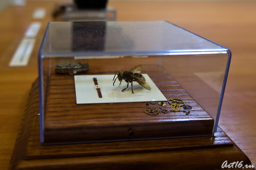 Часы  для осы. А.Коненко::Выставка микроминиатюр «Чудеса под микроскопом»