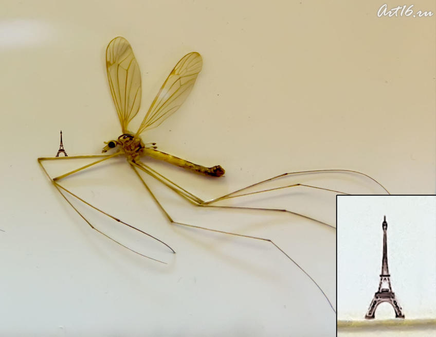 Эйфелева башня на усике комара. А.Коненко::Выставка микроминиатюр «Чудеса под микроскопом»