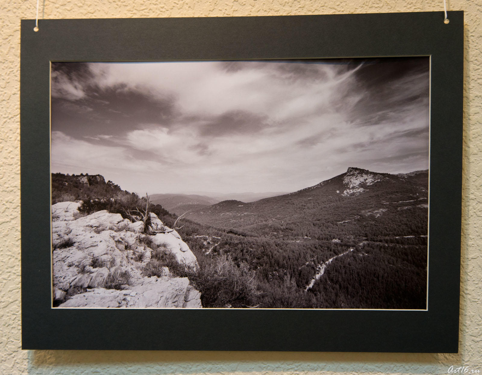  «Пейзаж 9». Николь Бриль. 2010::Выставочный проект «Париж во сне и наяву" Фарит Губаев и "Французский взгляд» современных фотографов Франции