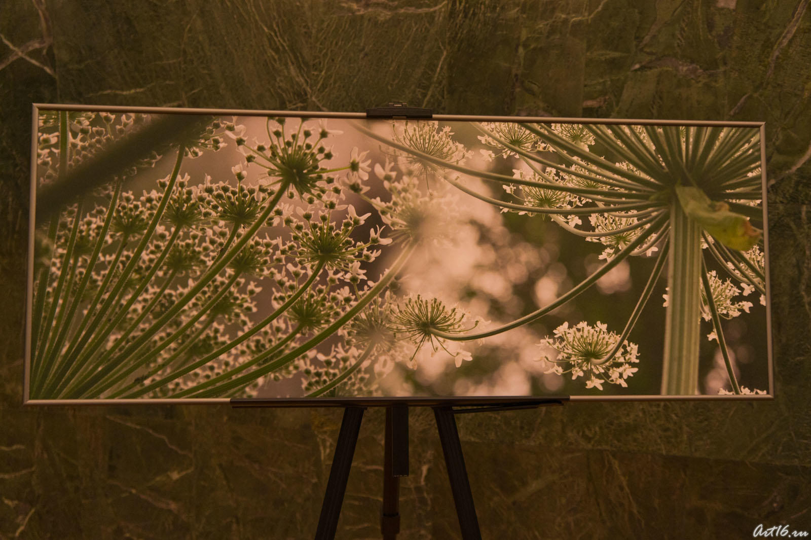 Выставка Евгения Канаева в фойе БКЗ им. С. Сайдашева::Творческий вечер Елены Бурундуковской