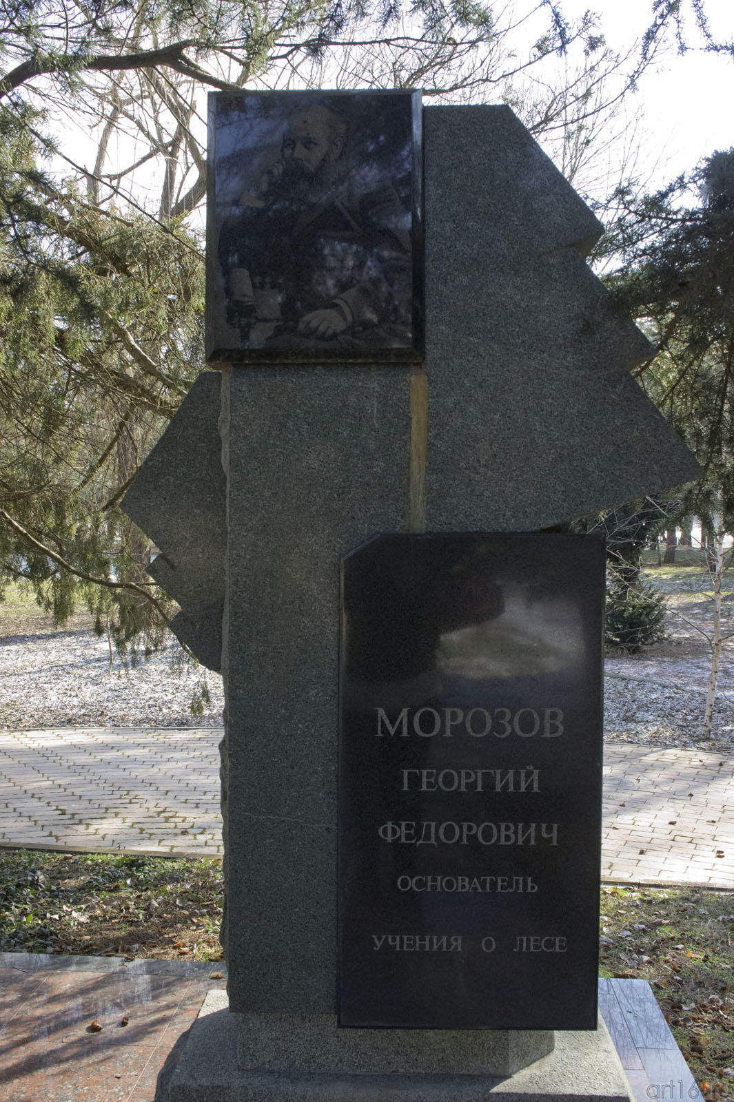 Памятник морозову. Памятник г ф Морозову в Крыму. Г.Ф Морозов основоположник учения о лесе.