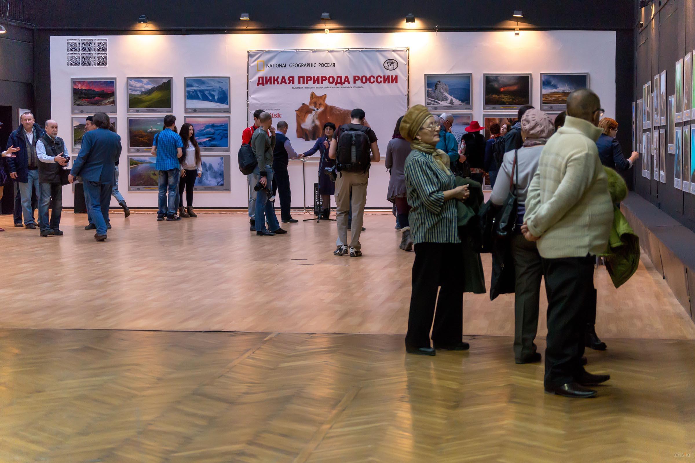 ::Фотовыставка «Дикая природа России»