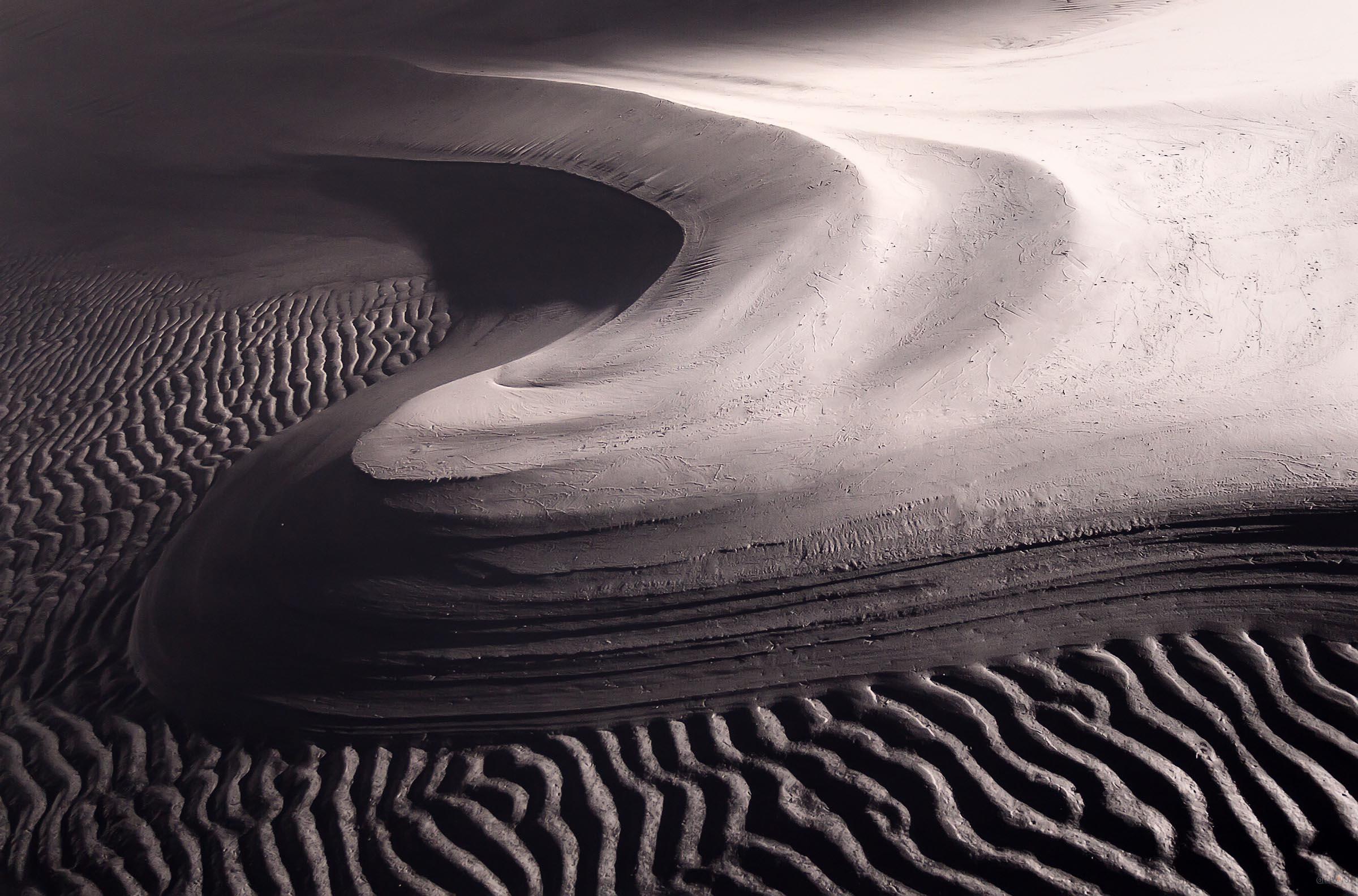 Платиновые пески. Катя Платонова (Санкт-Петербург), 3-е место в ном. «Природа в ч/б тонах»::Фотовыставка «Дикая природа России»