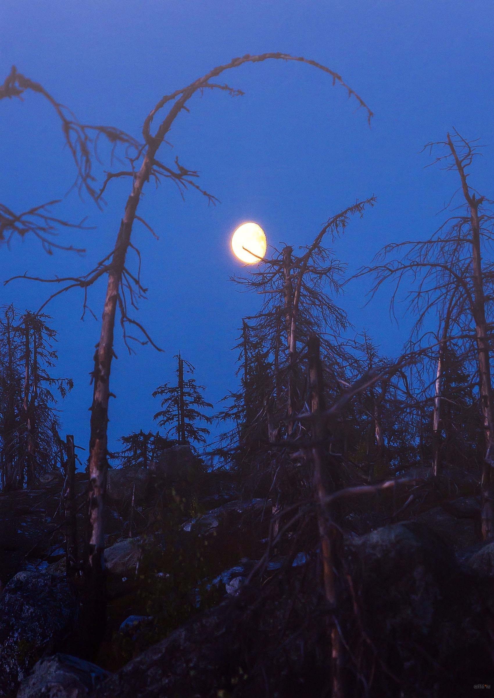 Воттоваара. Евгений Кепа, (Санкт-Петербург), 3-е место в ном. «От заката до рассвета»::Фотовыставка «Дикая природа России»