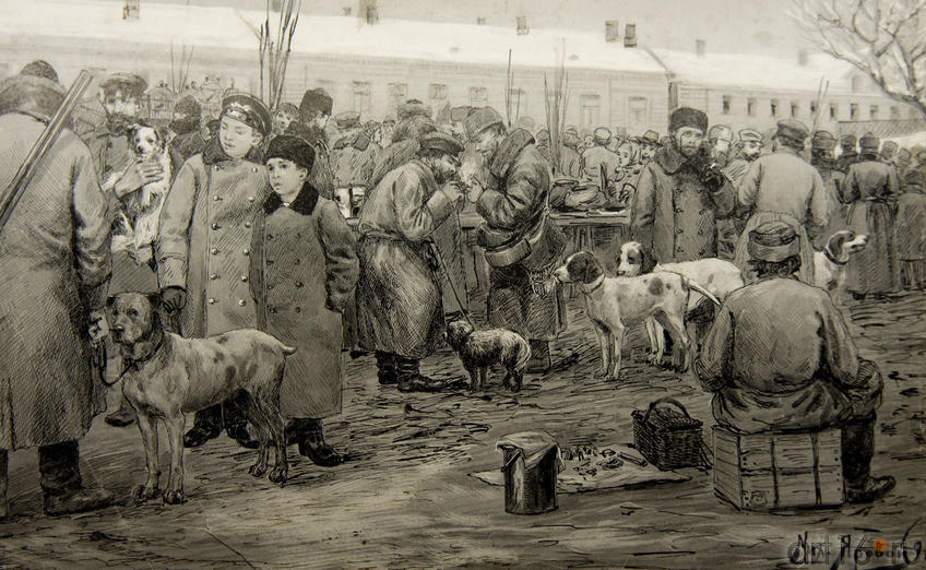 Яровой М. Трубный рынок. Торговля собаками::Москва и москвичи. Традиции и современность