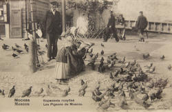 Типы России. Кормление голубей. Москва, 1903