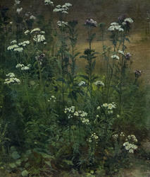 Цветы. Шишкин И.И. (1832-1898)