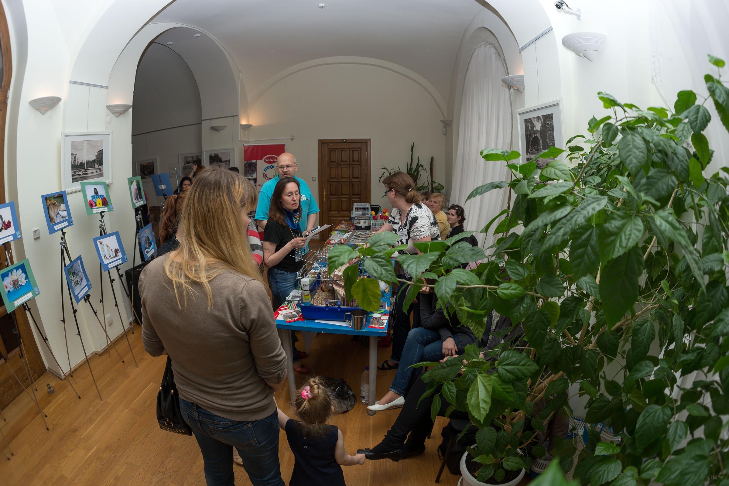 ::Ночь в музее — 2015