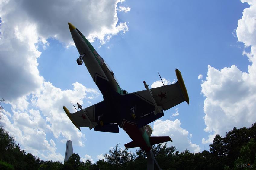 Учебно-тренировочный самолет L-39 Albatros (памятник), парк Куйбышева::Балашов, сентябрь 2015