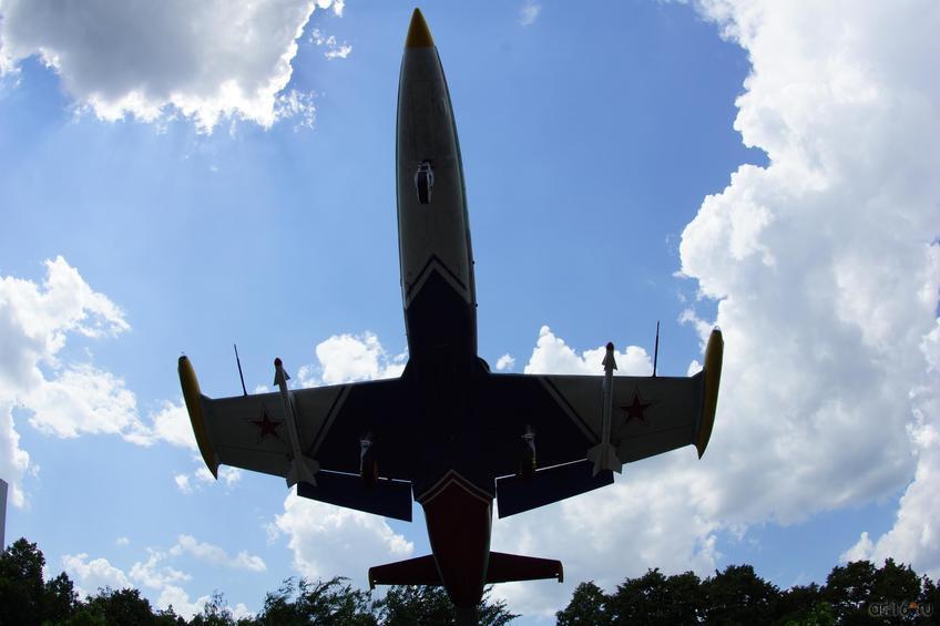 Учебно-тренировочный самолет L-39 Albatros (памятник), парк Куйбышева::Балашов, сентябрь 2015