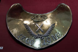 Знак обер-офицерский, Гвардии императора Петра I