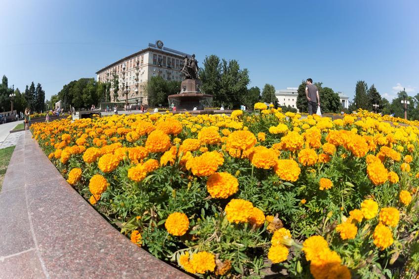 Фото №858949. Цветник перед фонтаном "Искусств", Волгоград