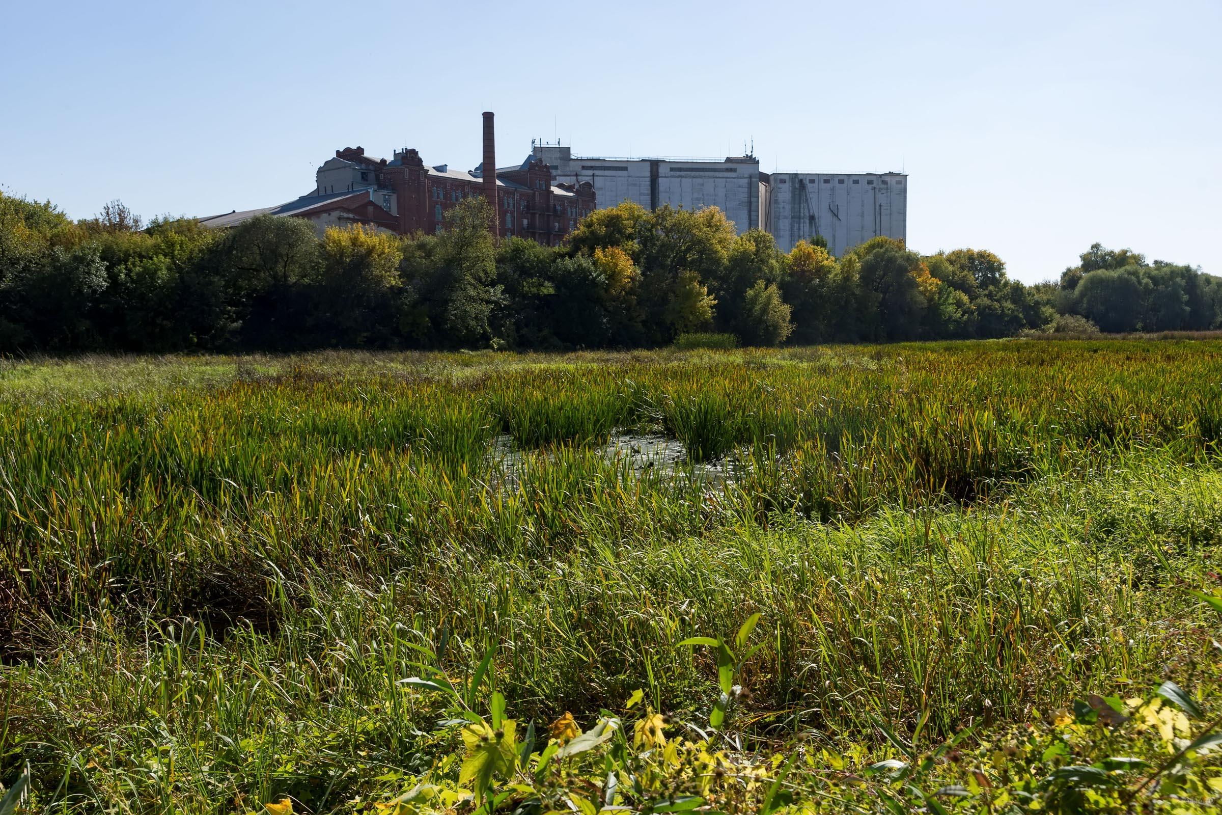 Мельзавод №7, вид с противоположного берега р. Хопер, сентябрь 2015::Балашов, сентябрь 2015