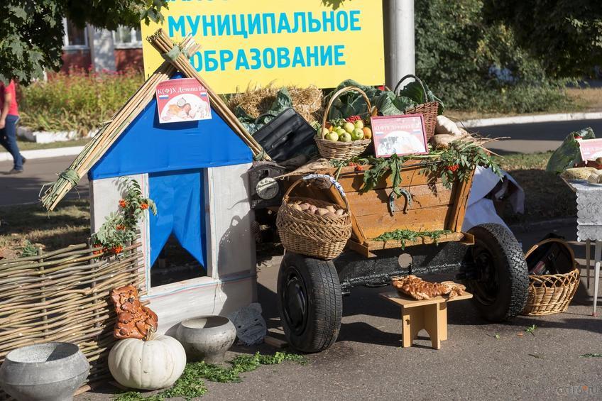 Ярмарка продовольственных товаров и сельскохозяйственной продукции. День города Балашов::Балашов, сентябрь 2015
