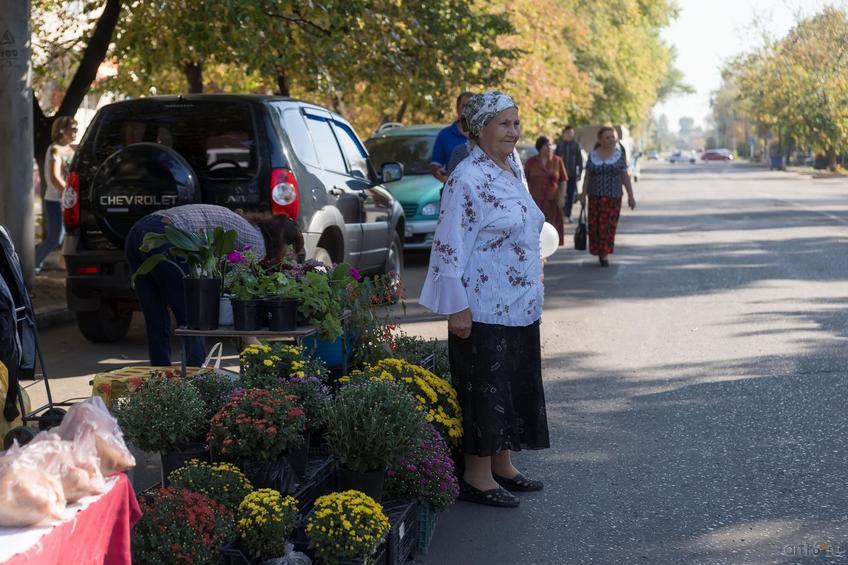 Почем цветочки? Ярмарка на день города Балашов::Балашов, сентябрь 2015