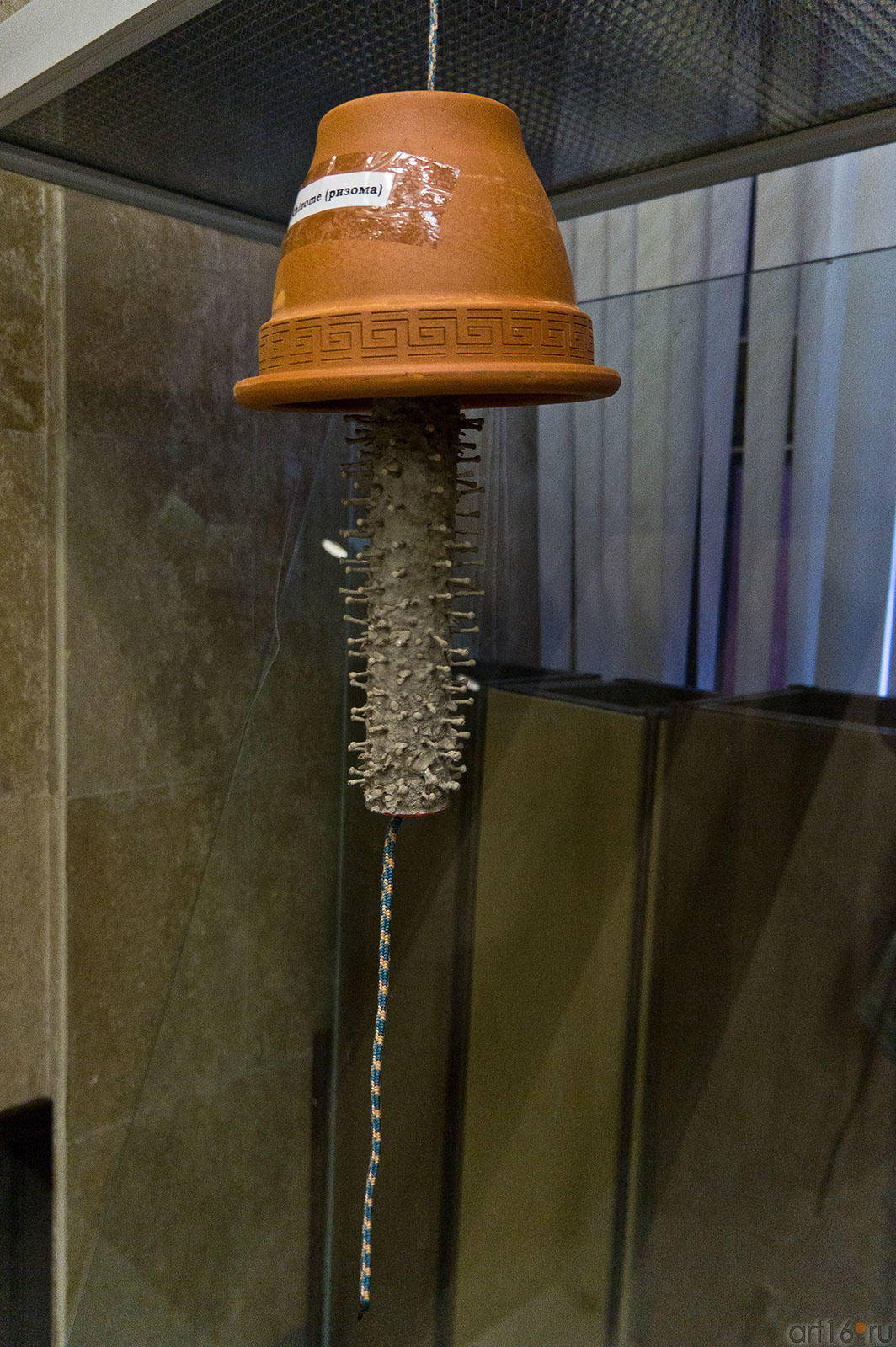 Ризома.  Е Якимов, С.Трофимов::ТРИПФЕСТ