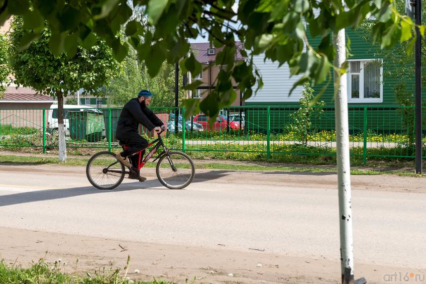 Велосипедист на улице  Богатых Сабов::Богатые Сабы. Шаймарданов Альфрид. Выставка