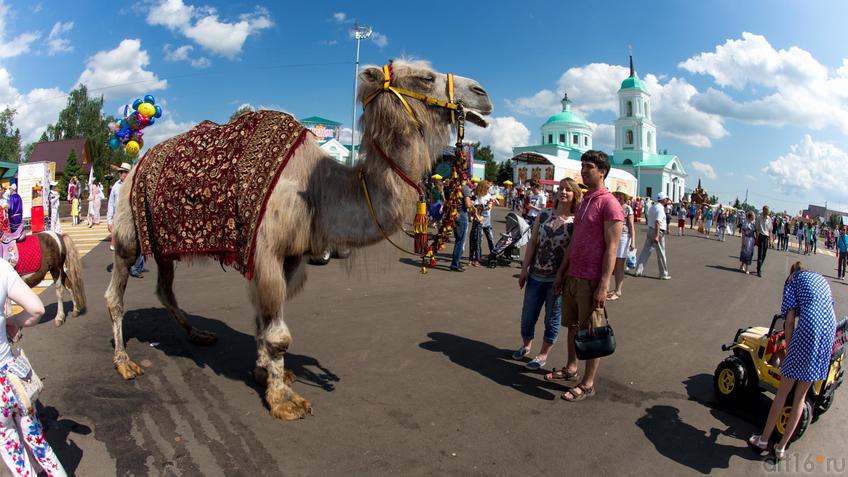 ::Каравон — 2016. Село Никольское, Лаишевский район, Татарстан