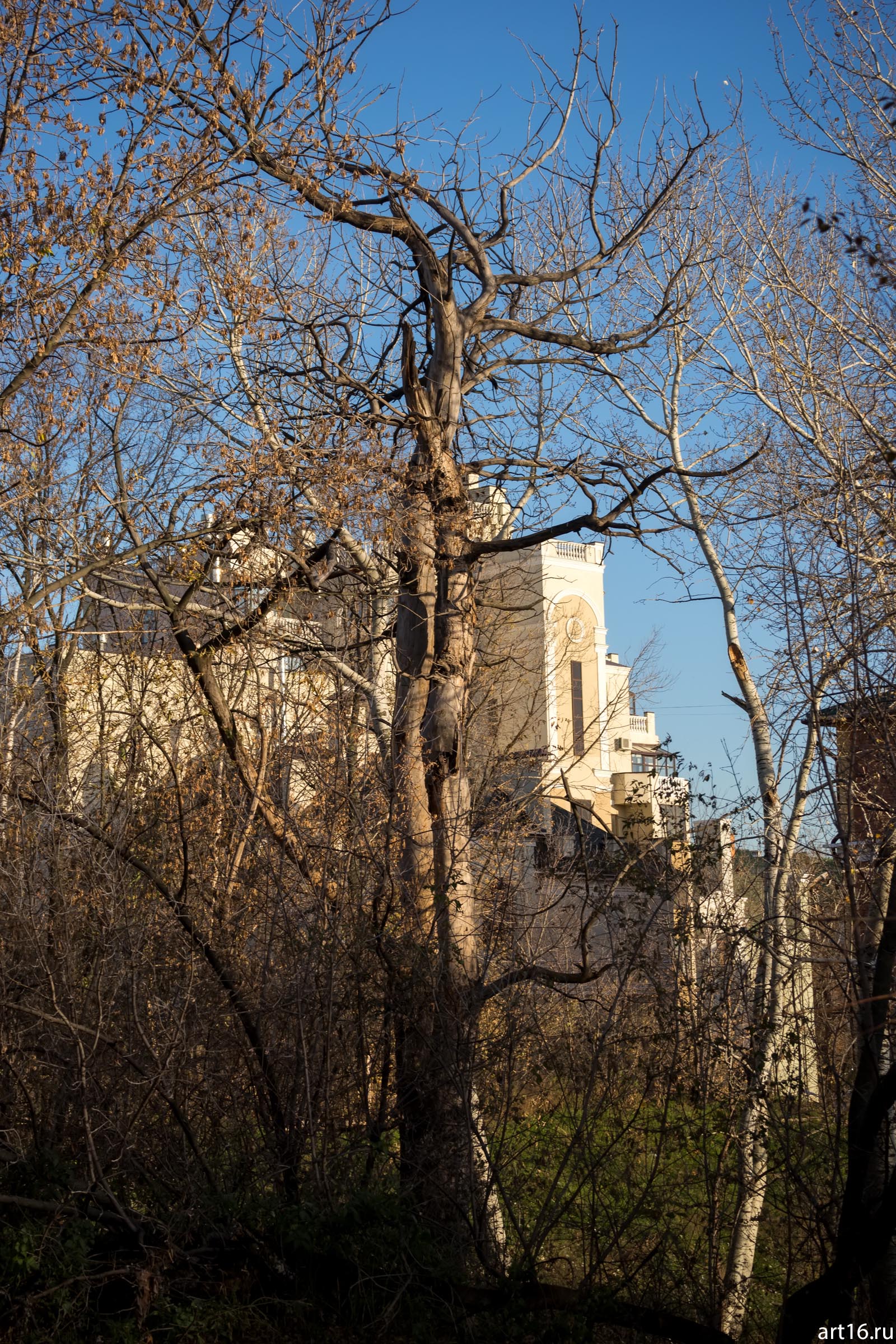 Осень в саду Эрмитаж::Зарисовки. Природа