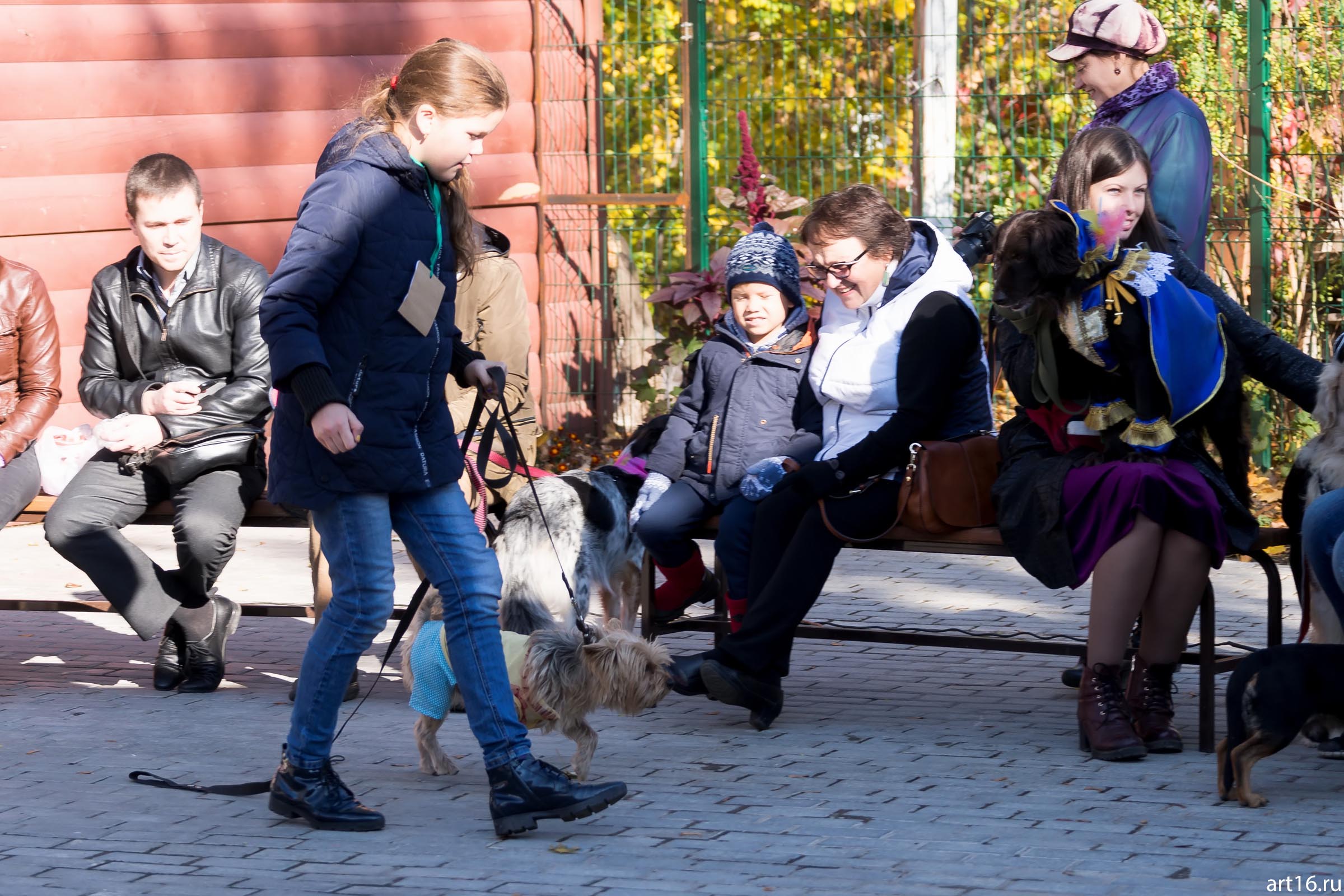 ::«Собачий бал» спортивно-развлекательное мероприятие для собак и человеков